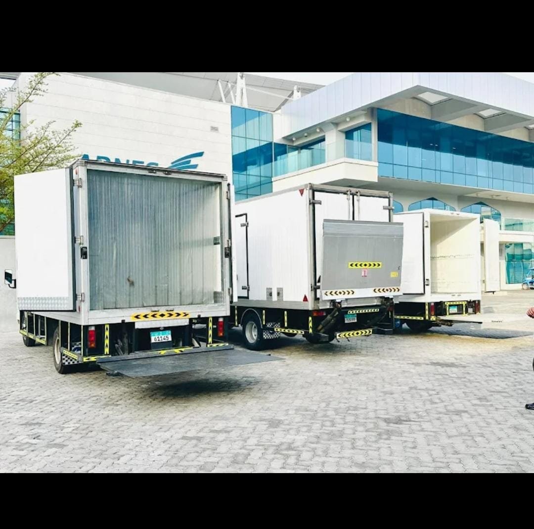 Cold chain transport resources UAE — freezer truck fleet